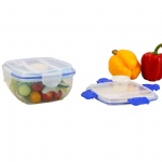 Plastic Picnic Food Storage Box