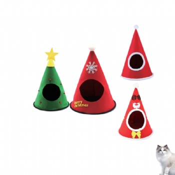 Baby cat Christmas litter