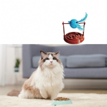 Pet rotary feeder